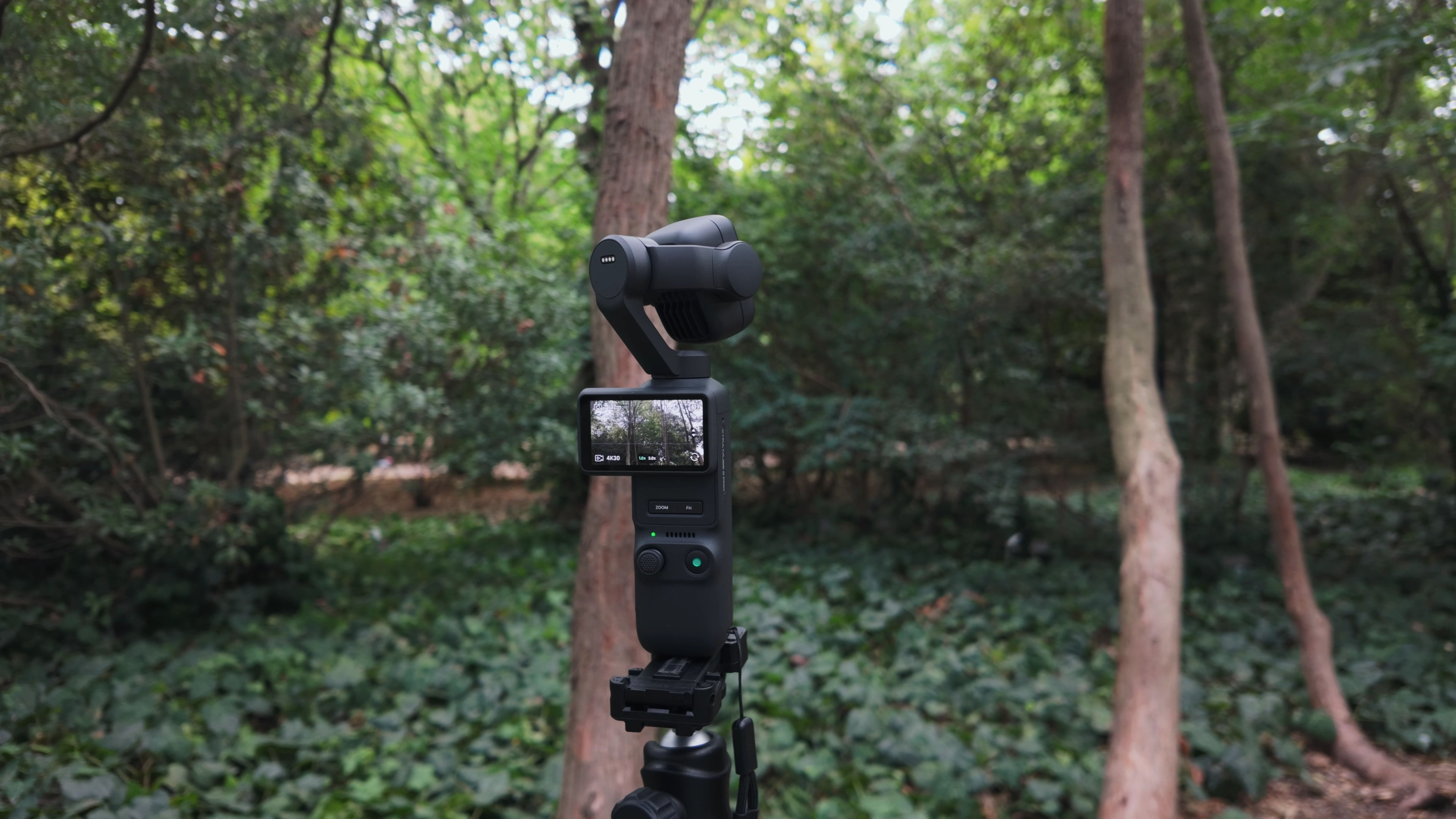 The Pocket Travel Camera That Actually Keeps Up With You | XTRA MUSE 2 PRO