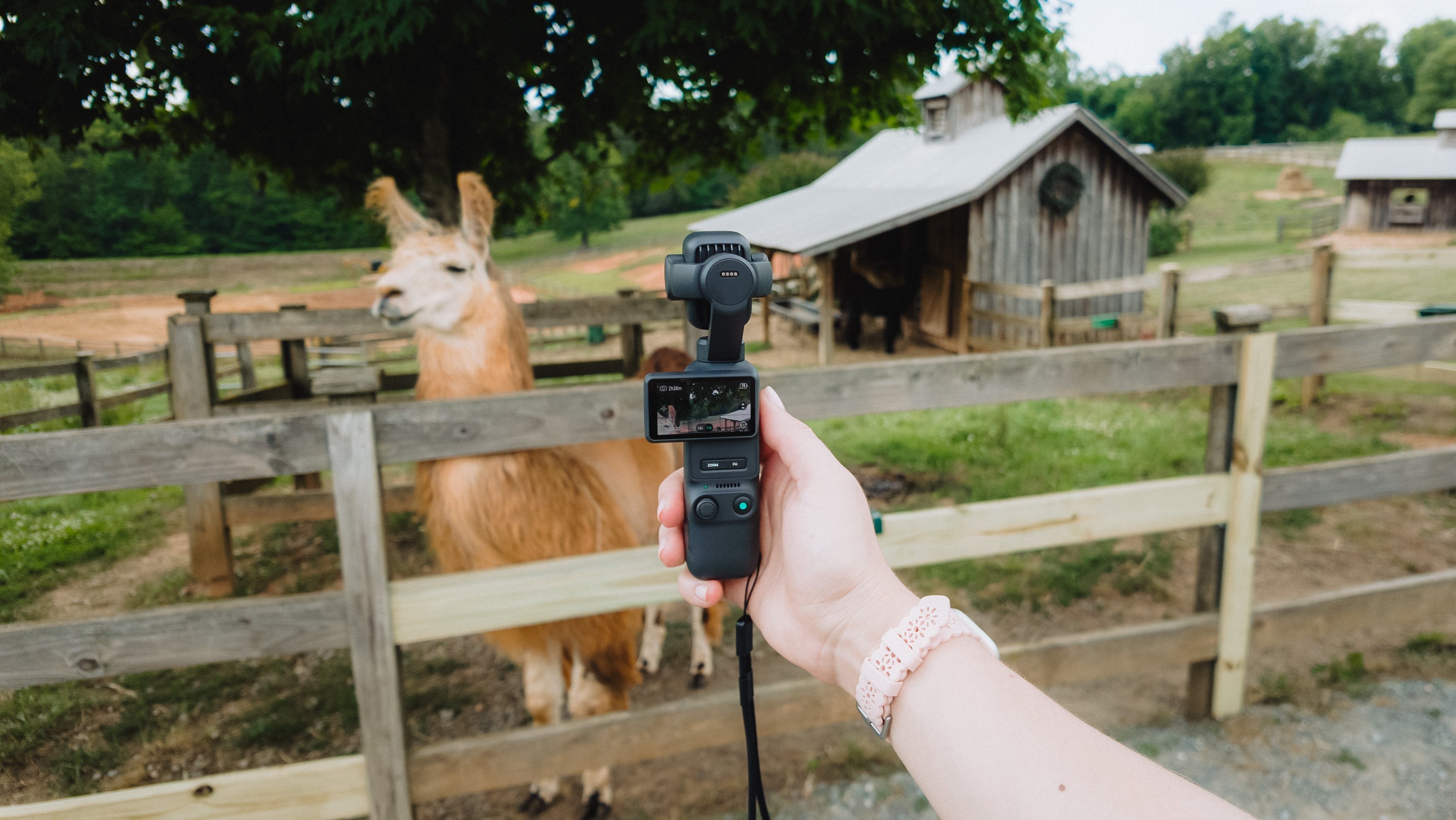 XTRA MUSE 2 PRO: A Tiny Camera for Big Moments With Kids and Pets
