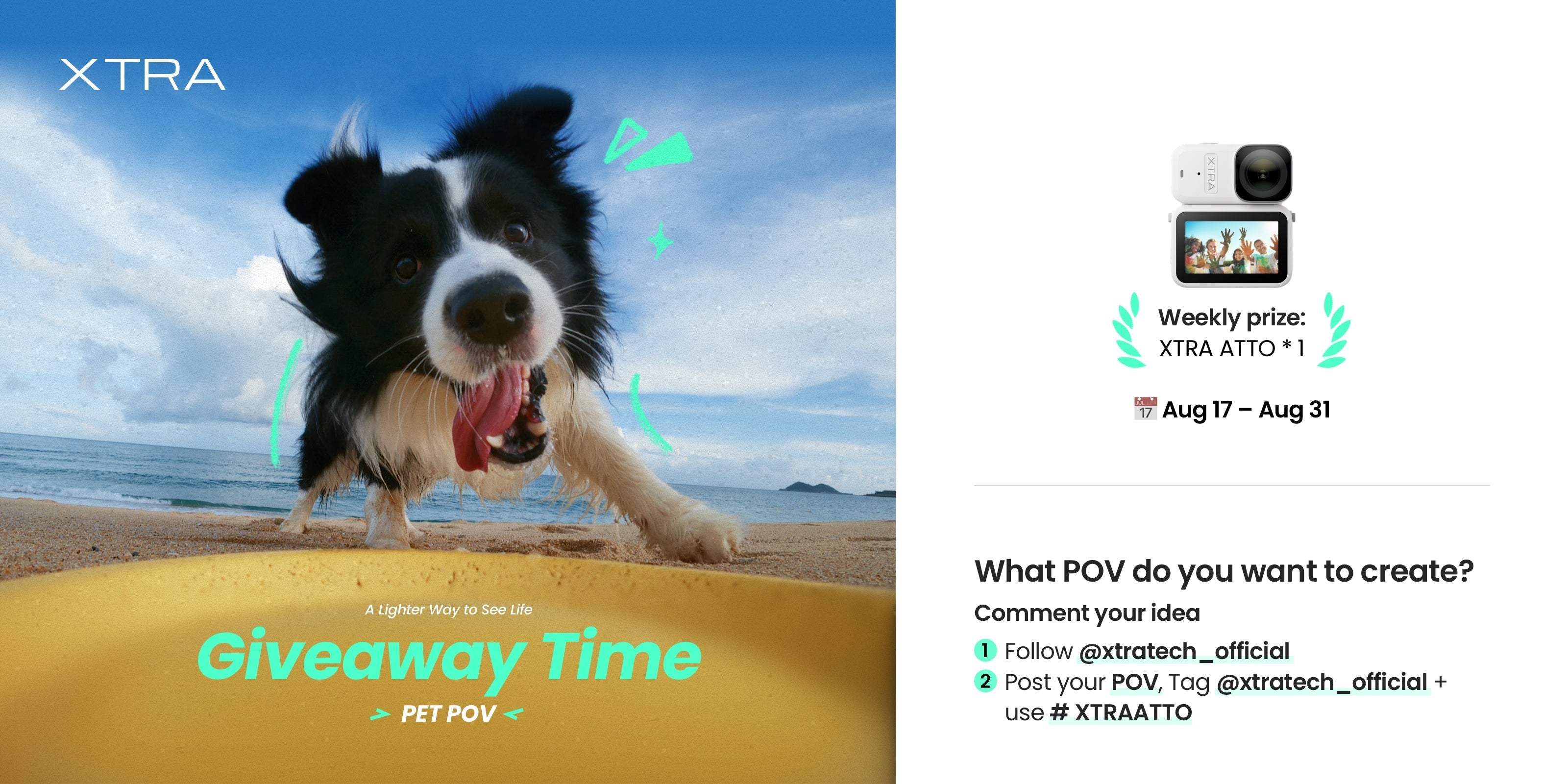 XTRA ATTO Pet POV Challenge: Show Us the World From Their Point of View