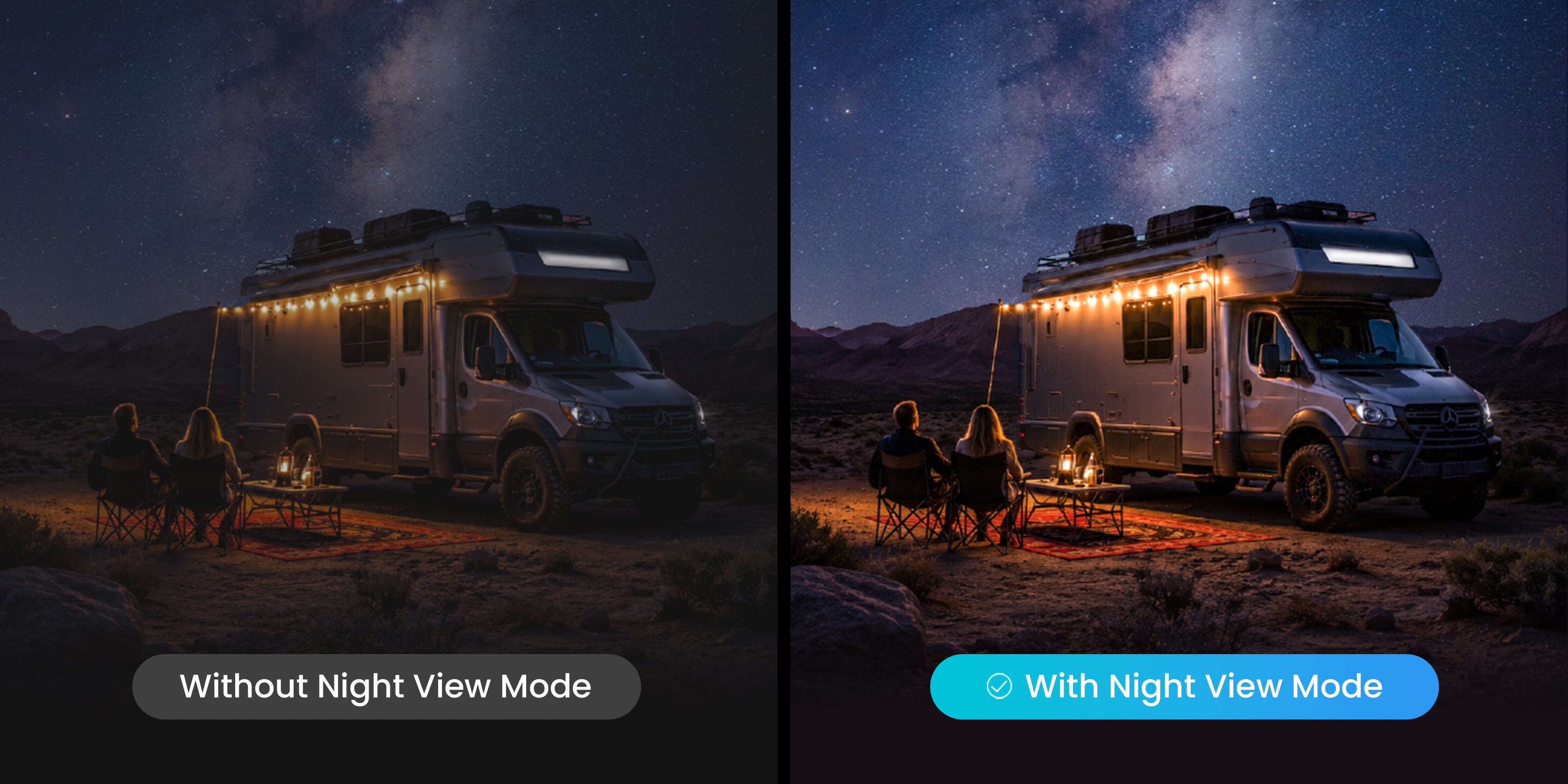 Own the Night